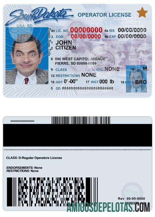 Carteira de motorista de Dakota do Sul dos EUA amostra